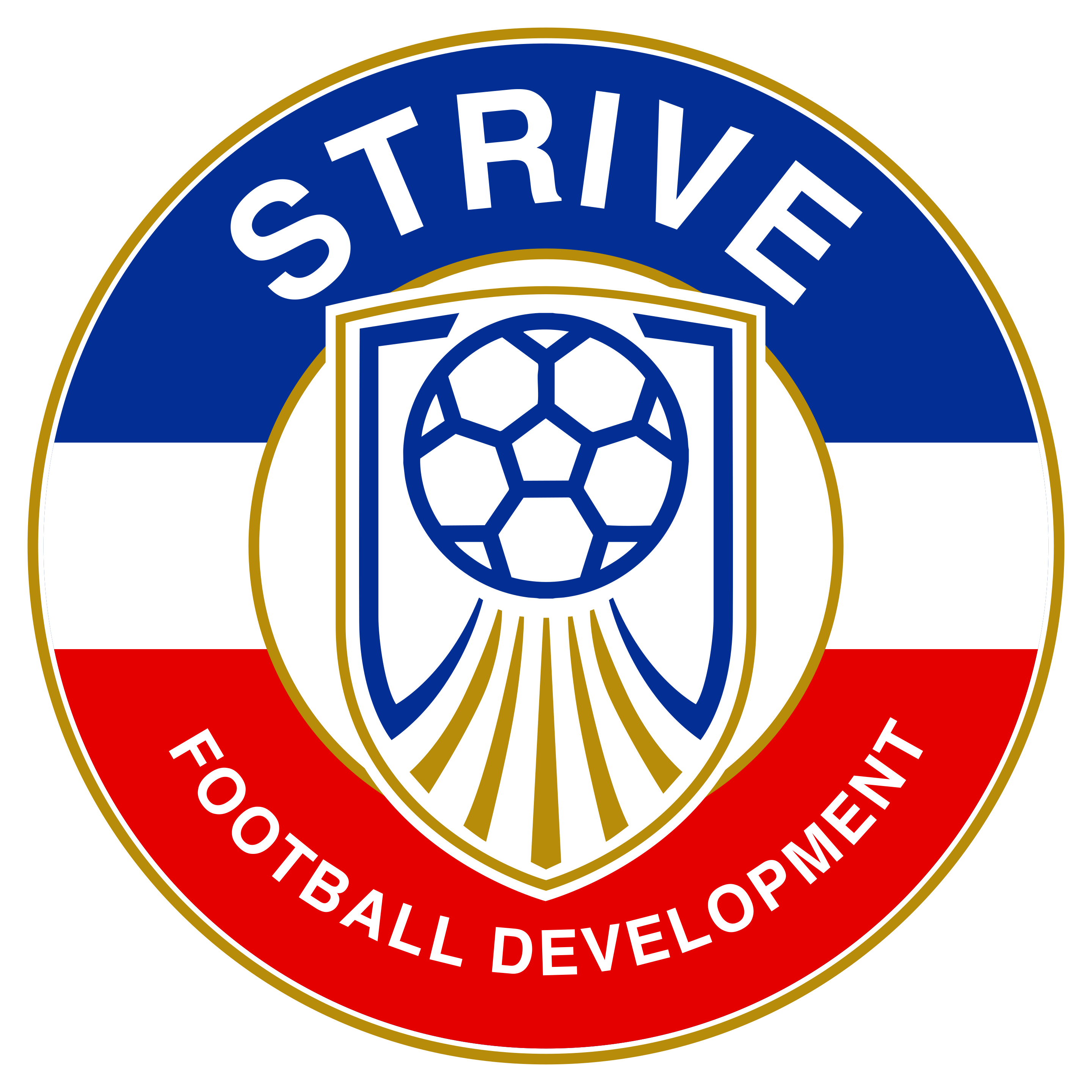 Strive Football Development Logo